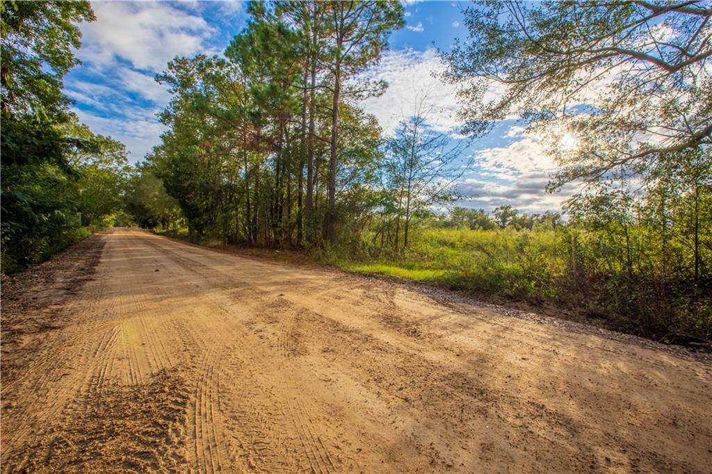 284 Barrett Road Sparks, GA 31647 - Photo 7 of 8