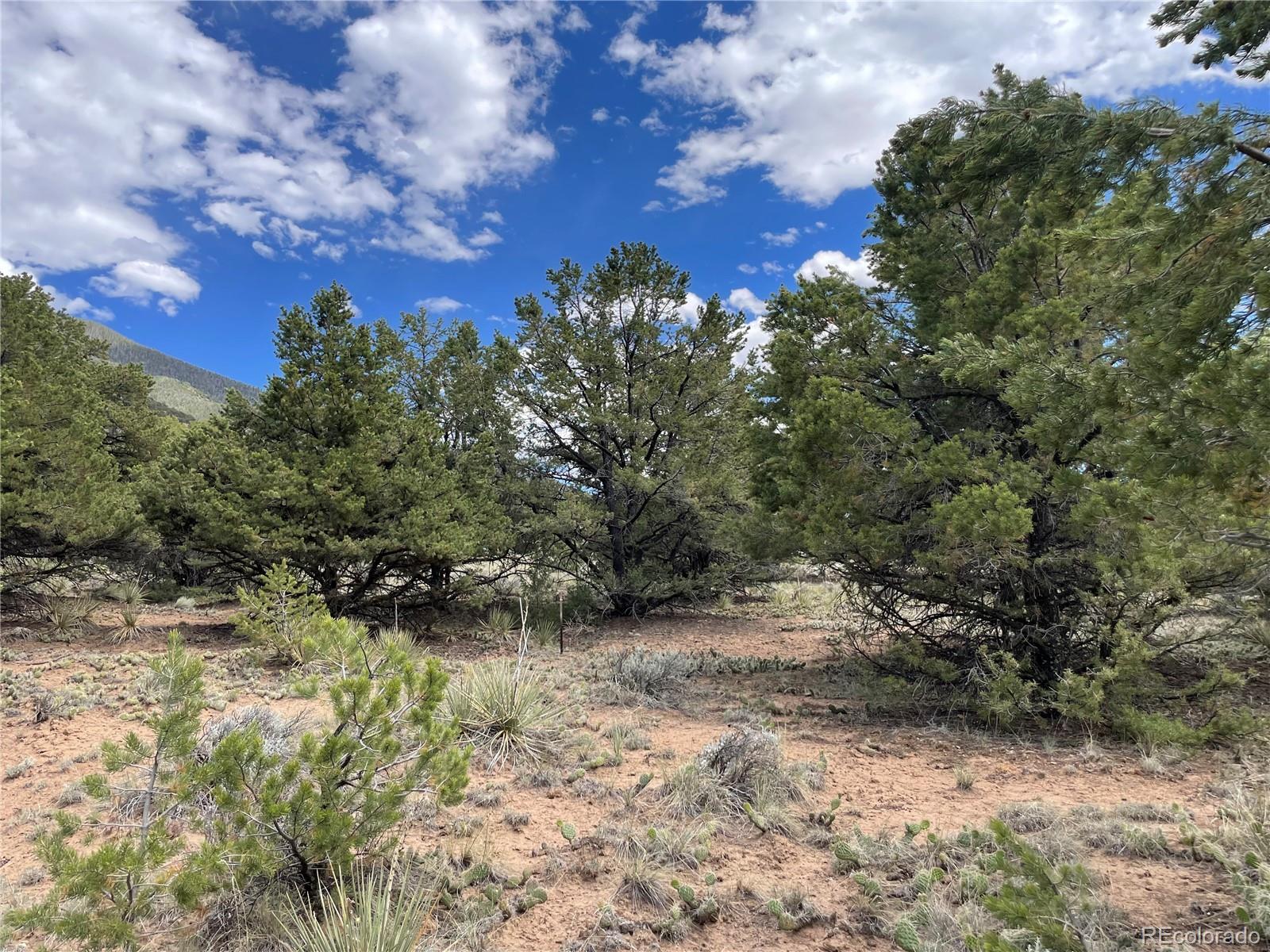 4303 Fallen Tree Way Crestone, CO 81131 - Photo 12 of 19