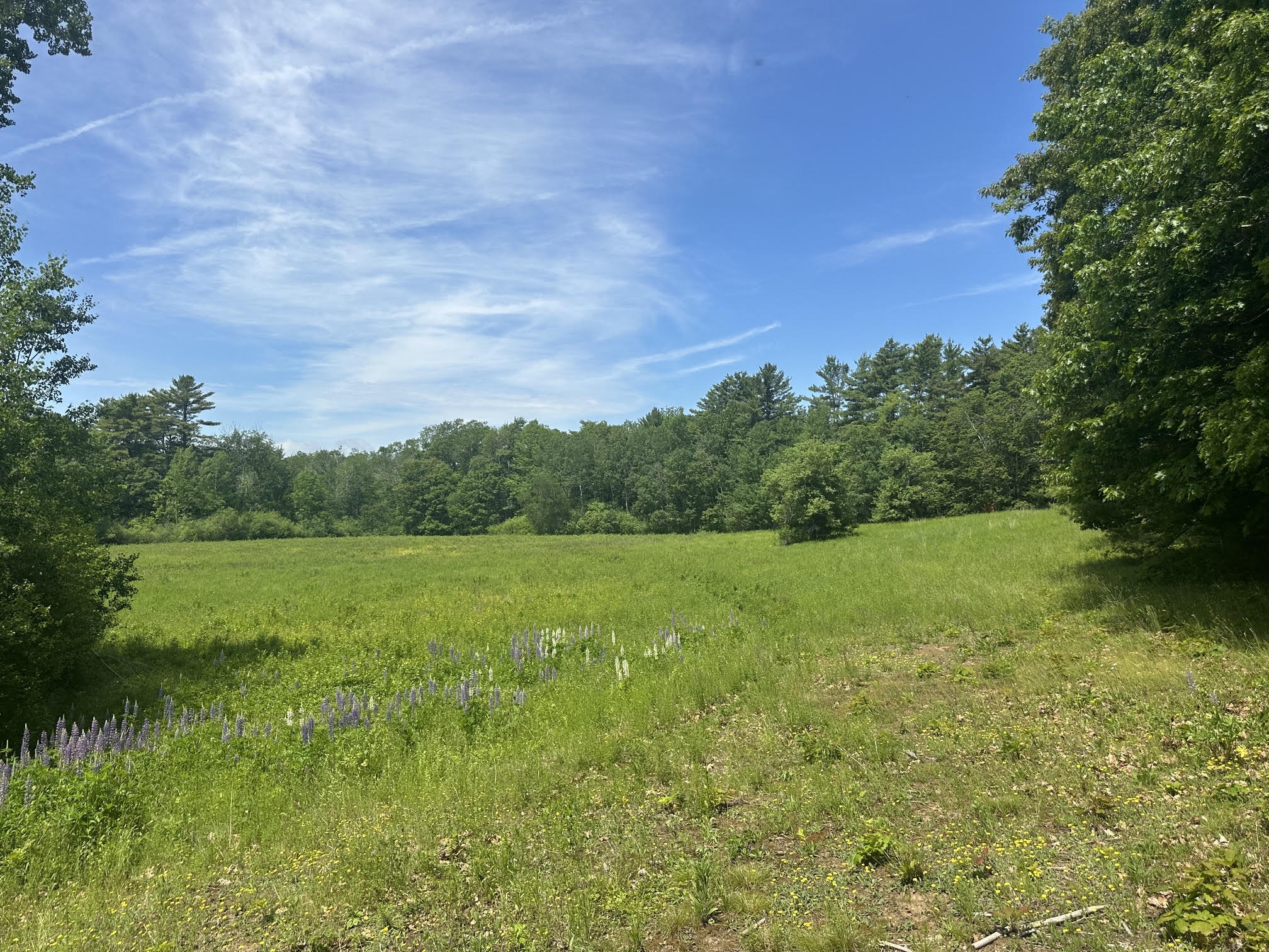 37 Herrick Road Belfast, ME 04915 - Photo 11 of 14 12