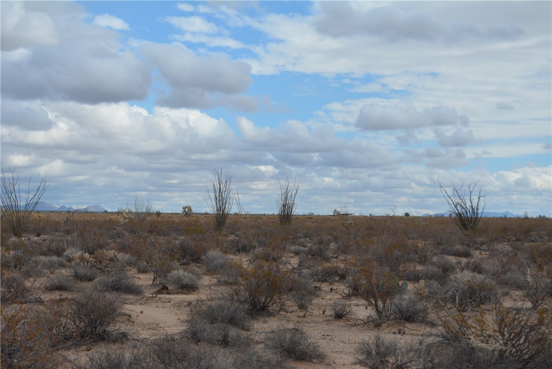 207-35-005 South Arlington Road Yucca, AZ 86438 - Photo 47 of 92