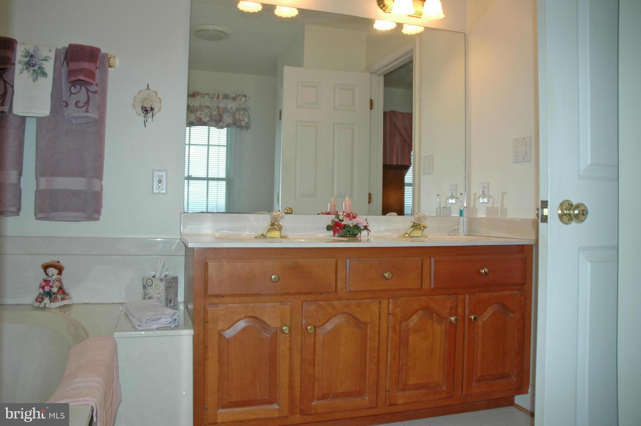 1065 Pond Neck Road Earleville, MD 21919 - Photo 21 of 27 Bath (Master)