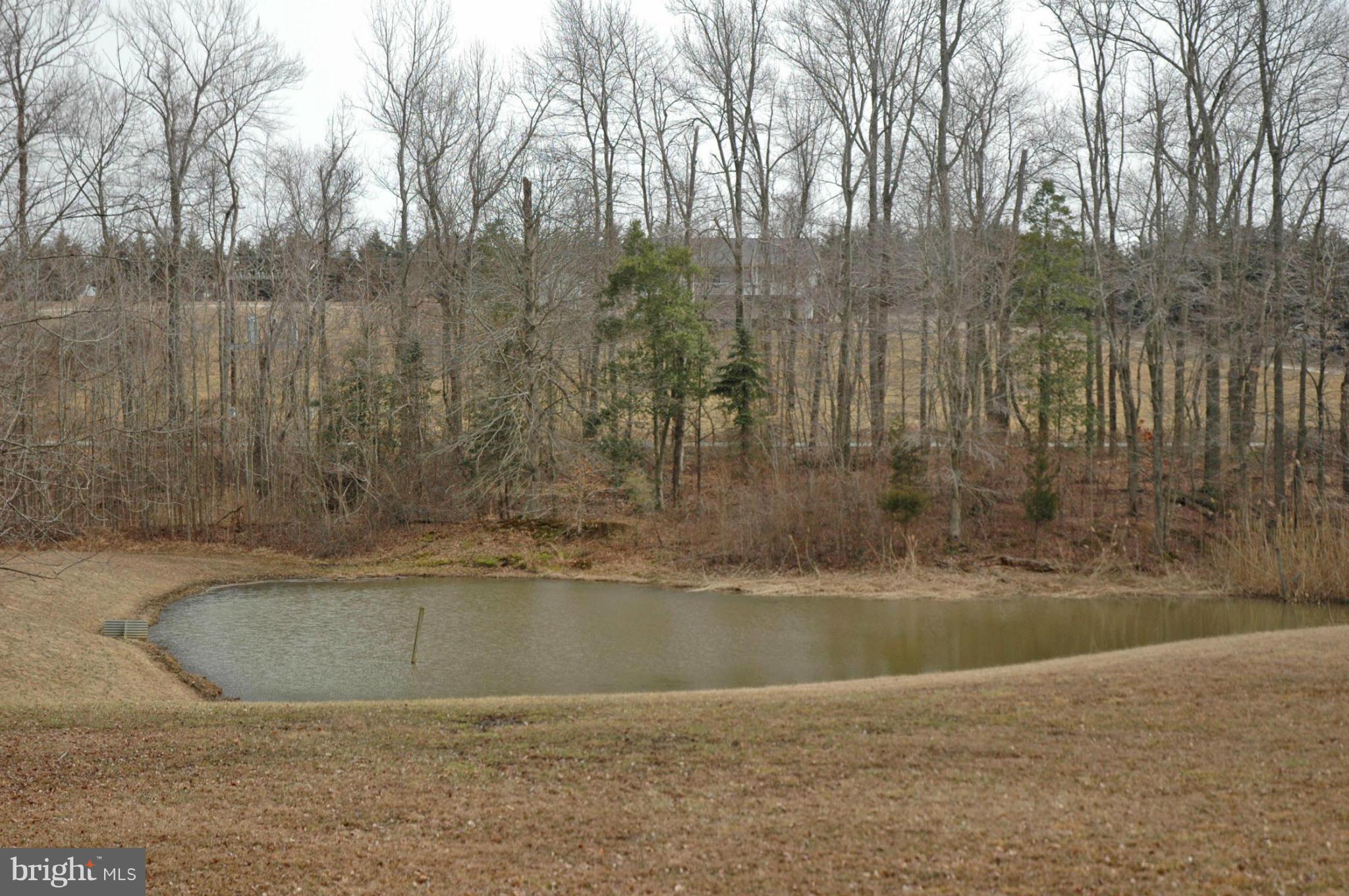 1065 Pond Neck Road Earleville, MD 21919 - Photo 9 of 27 Pond