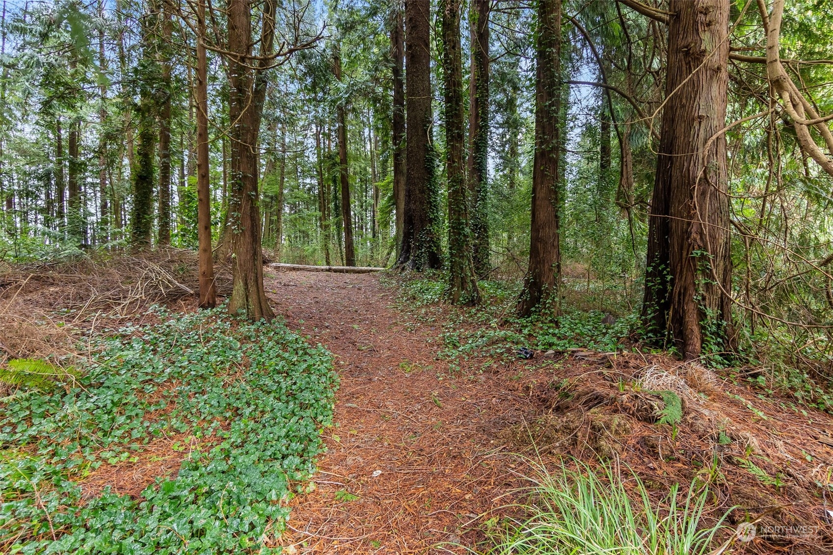 9 Poplar Road, Unit 17 Montesano, WA 98563 - Photo 21 of 21 Gallery Image 21