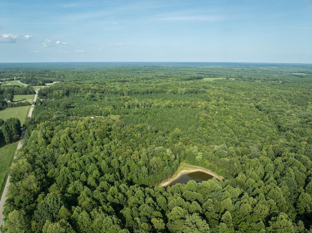 Riceville Road, Unit 2 Java, VA 24565 - Photo 6 of 24 Gallery Image 6