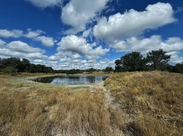 a view of a lake in middle of forest