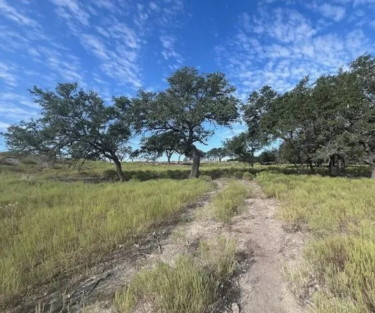 a view of lake with green space