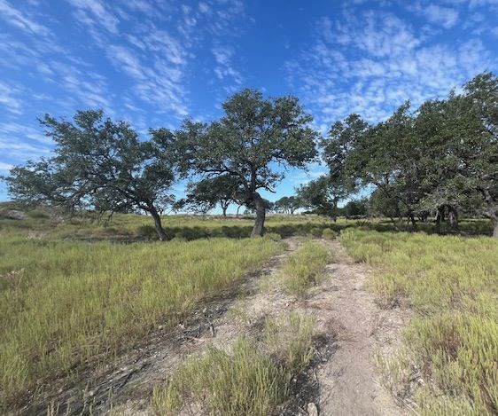 800 Schumann Road Stonewall, TX 78671 - Photo 17 of 27 a view of lake with green space