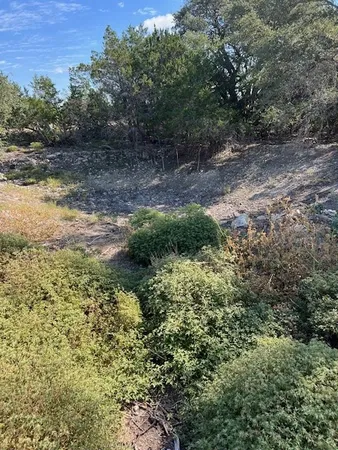 a view of a yard with plants and a bench
