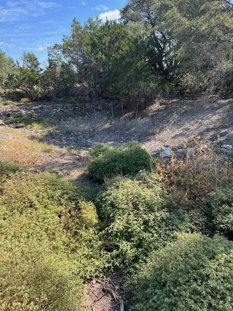 800 Schumann Road Stonewall, TX 78671 - Photo 19 of 27 a view of a yard with plants and a bench