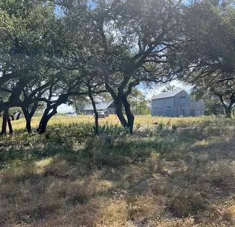 a view of yard with trees
