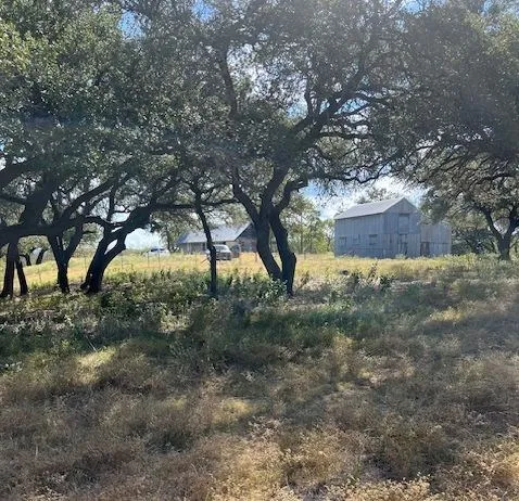 a view of yard with trees