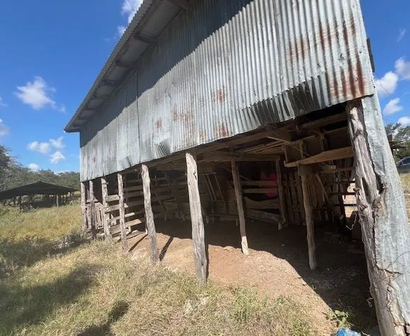 a view of a house with backyard