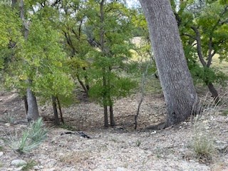 800 Schumann Road Stonewall, TX 78671 - Photo 26 of 27 a view of a forest filled with trees