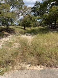 800 Schumann Road Stonewall, TX 78671 - Photo 27 of 27 a view of a yard with a tree