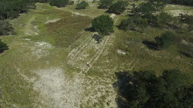 a view of a small yard