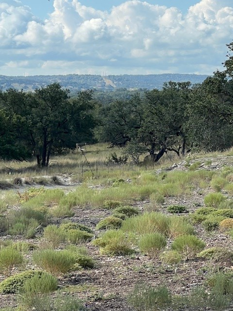 800 Schumann Road Stonewall, TX 78671 - Photo 10 of 27 a view of a yard with a tree