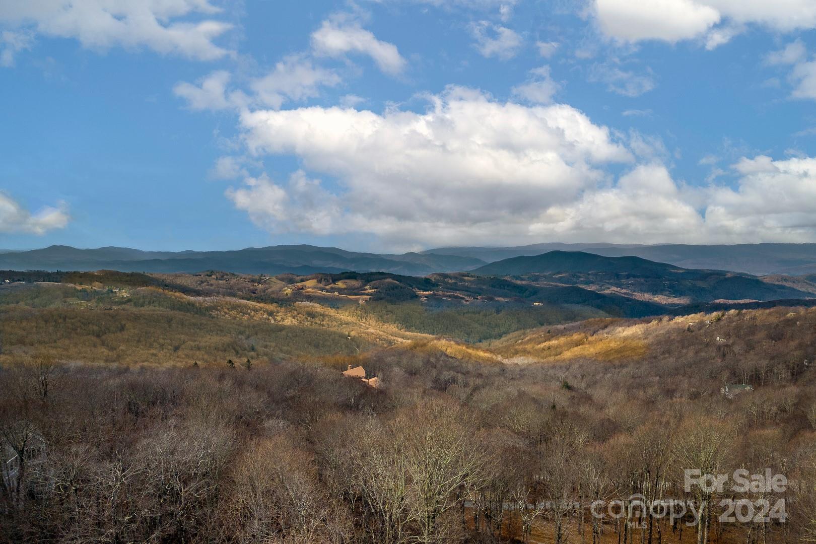 125 Raven Road Beech Mountain, NC 28604 - Photo 2 of 32 Gallery Image 2