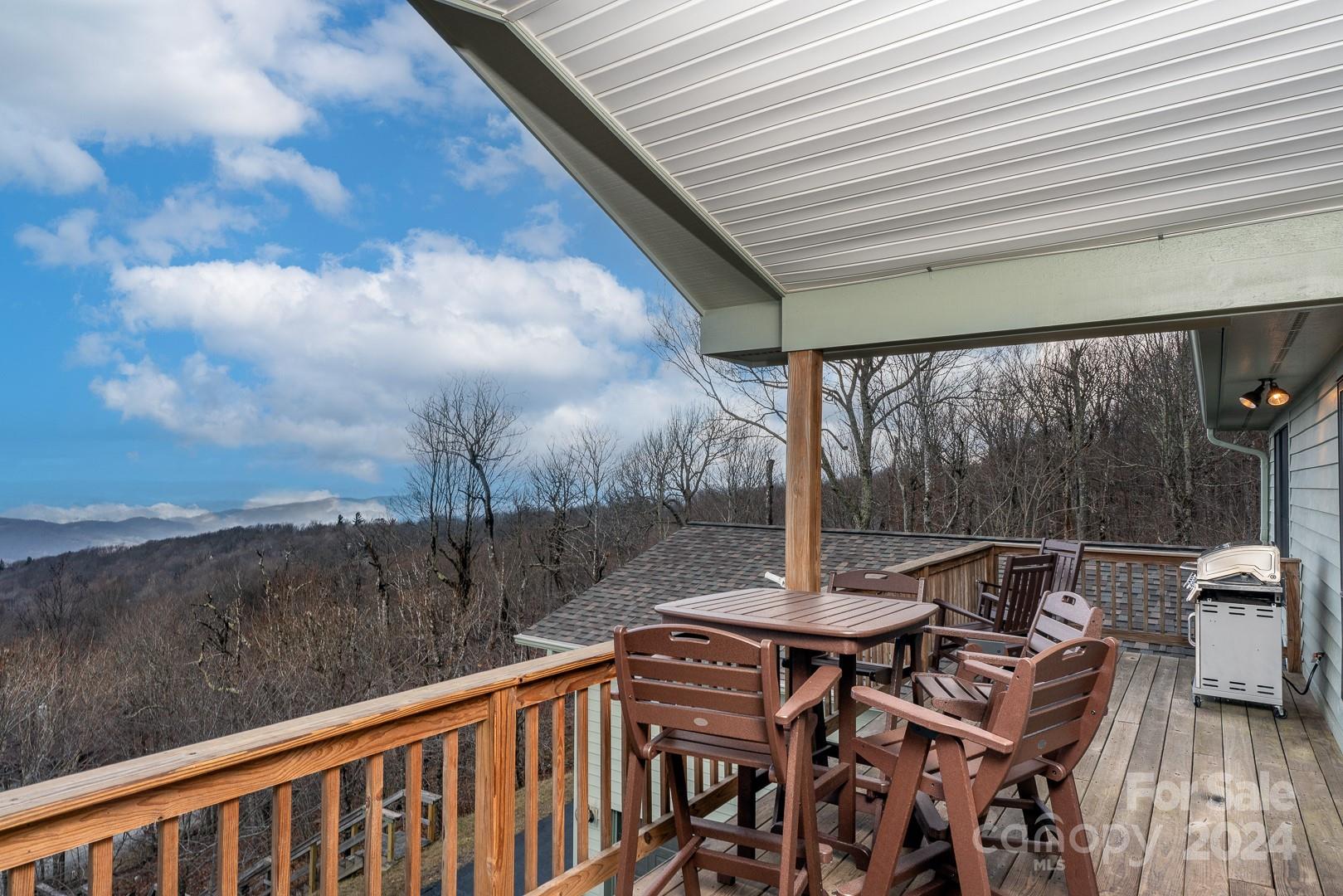 125 Raven Road Beech Mountain, NC 28604 - Photo 28 of 32 Gallery Image 28