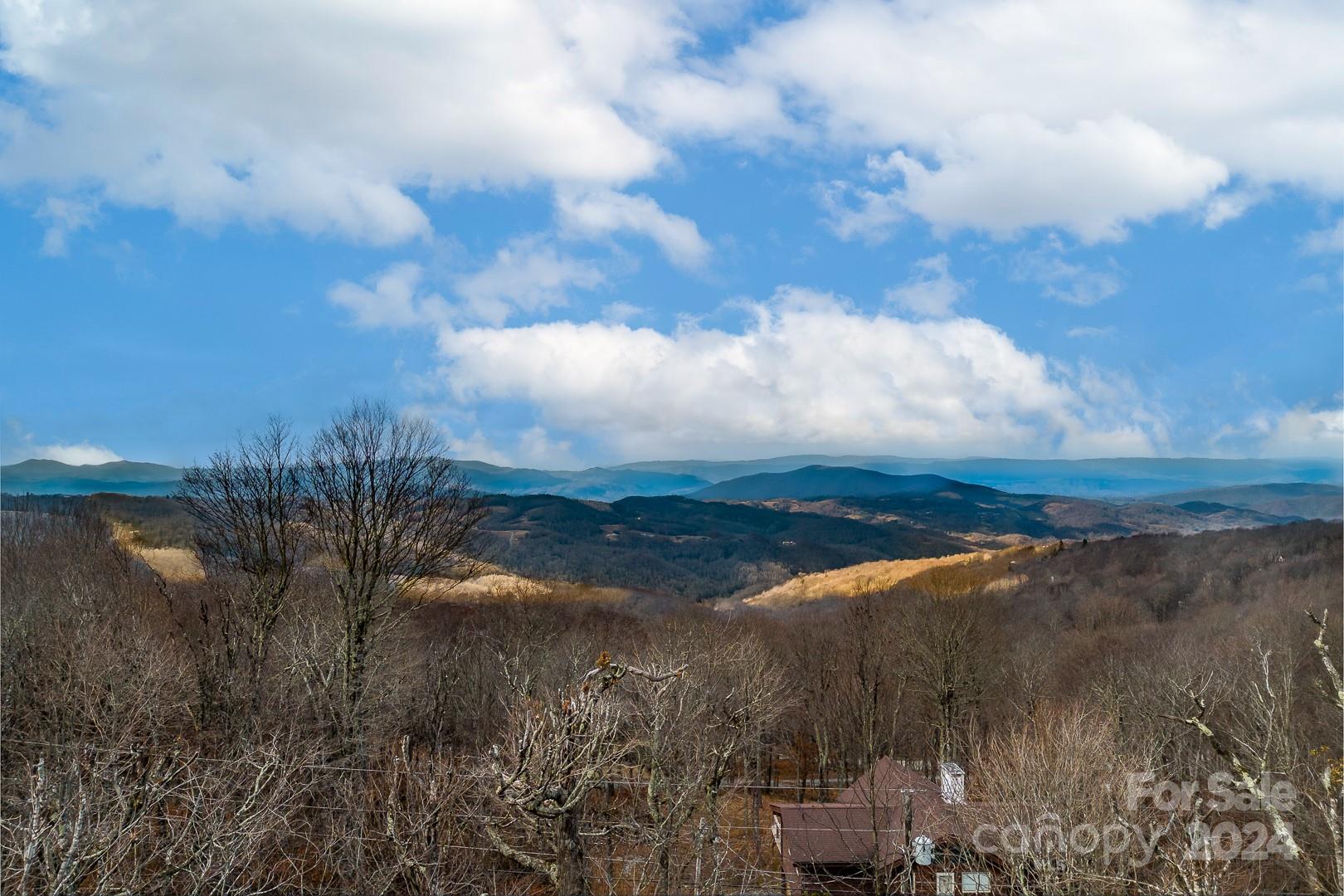 125 Raven Road Beech Mountain, NC 28604 - Photo 30 of 32 Gallery Image 30