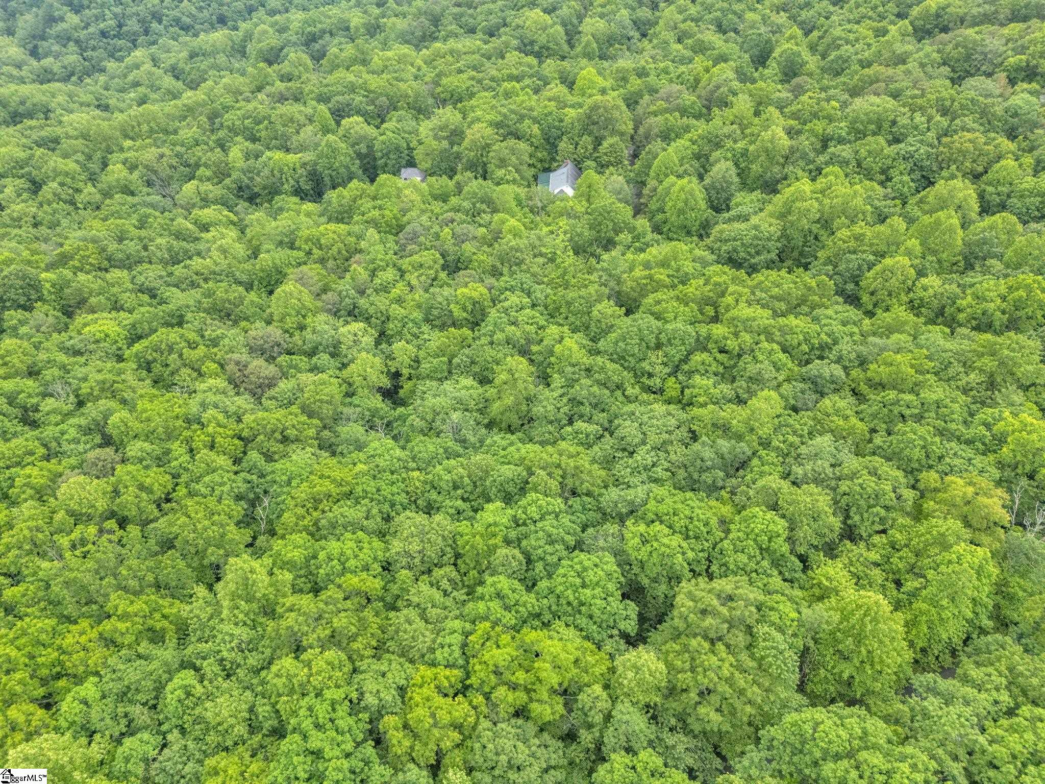 113 Columbine Way Cleveland, SC 29635 - Photo 20 of 25