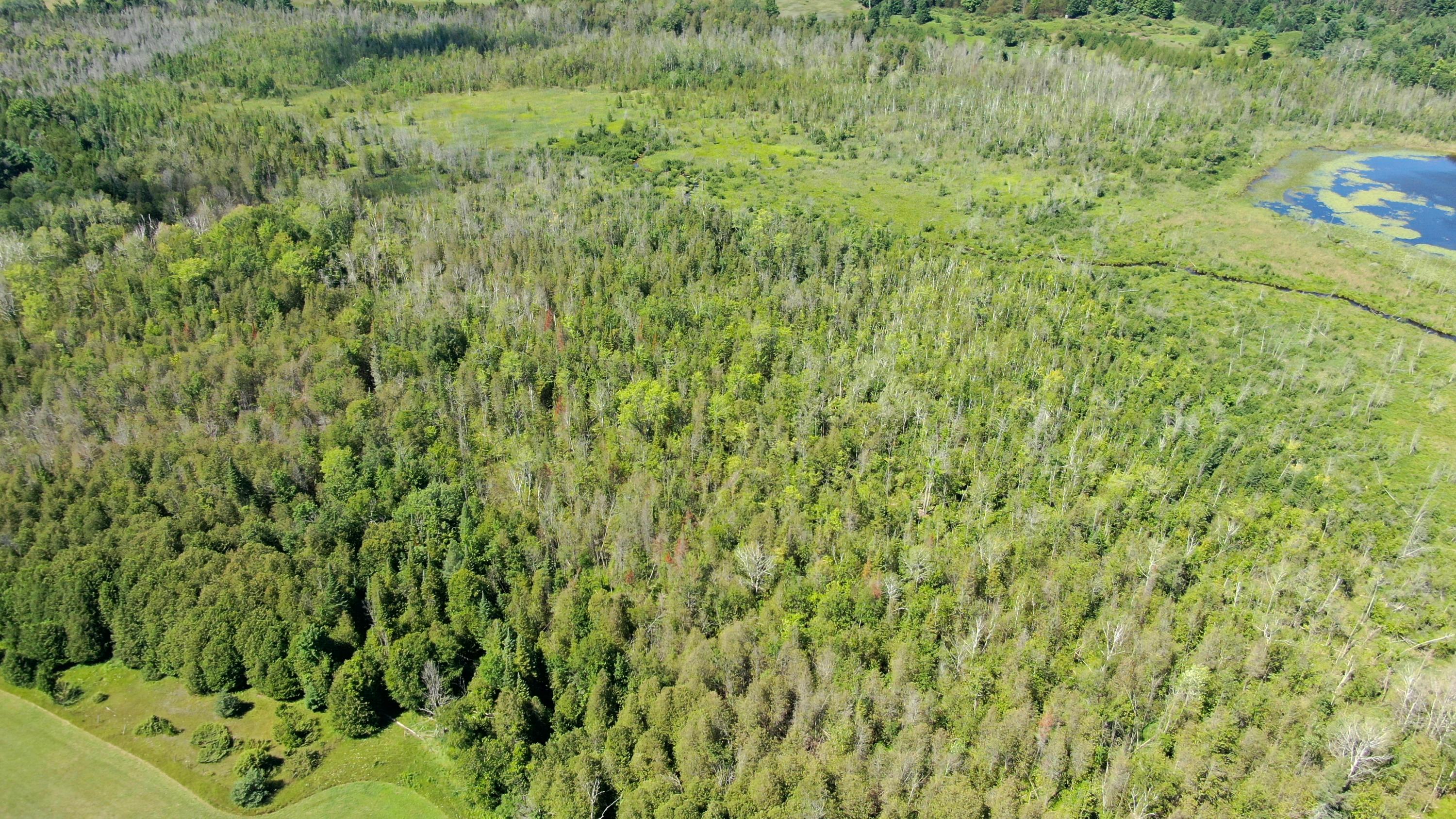 North Advance Road Boyne City, MI 49712 - Photo 8 of 18 Gallery Image 8
