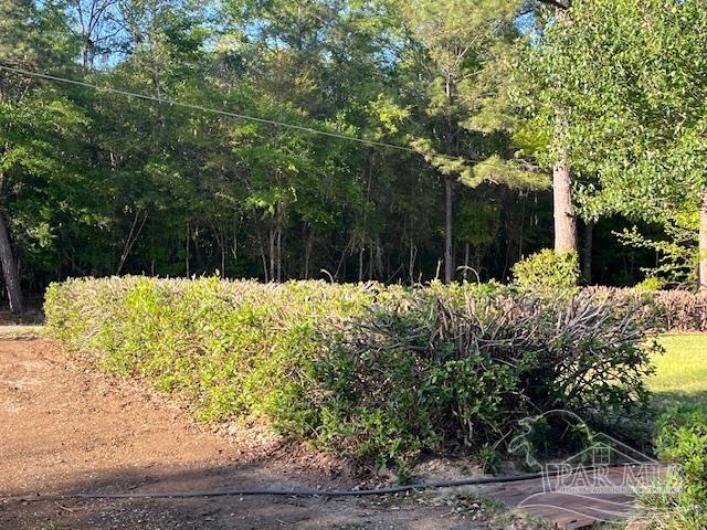 2700 Old Atmore Road Flomaton, AL 36441 - Photo 31 of 43