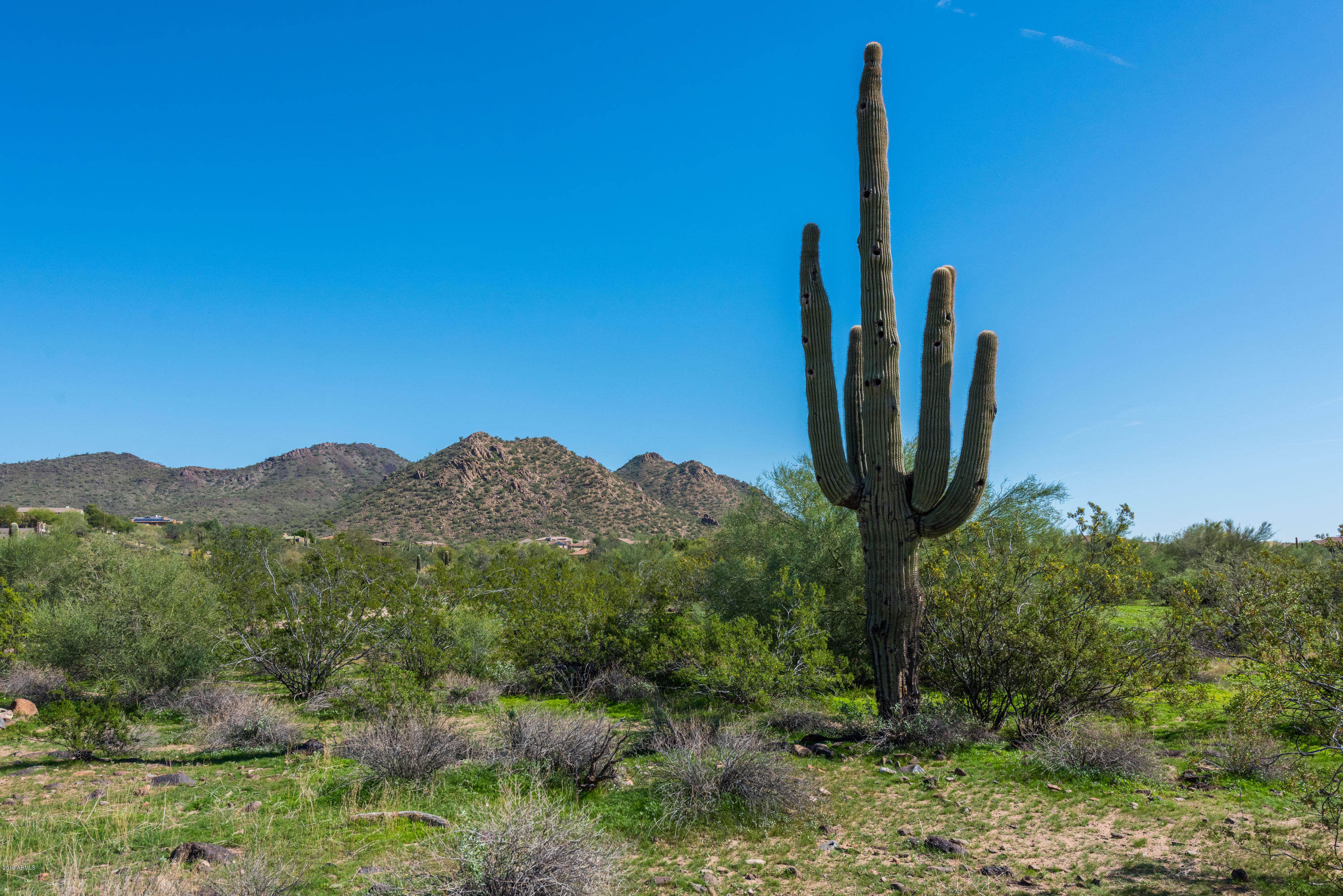3013 West Trapanotto Road Phoenix, AZ 85086 - Photo 4 of 35 03