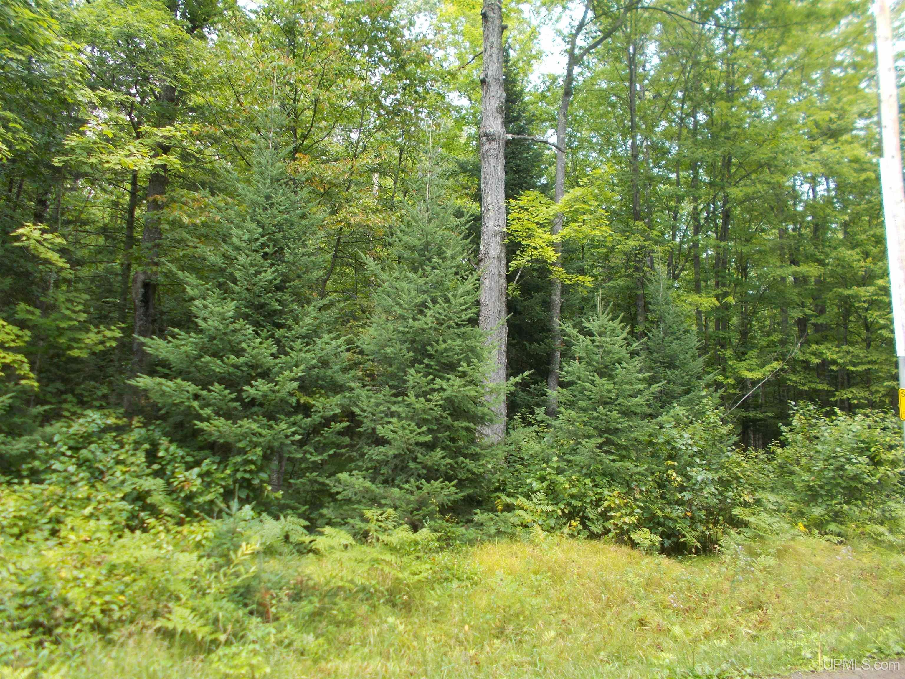 T-wi Turtle Creek Road Florence, WI 54121 - Photo 3 of 10