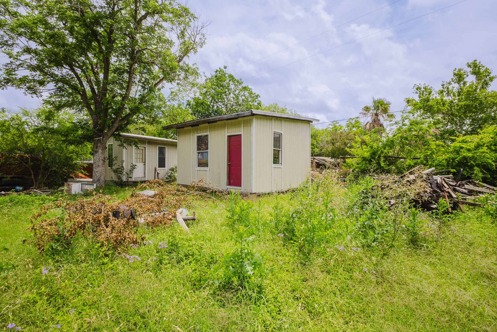 6803 Viewing Place Austin, TX 78719 - Photo 13 of 20 A vibrant green lawn embraces two charming outbuildings, ready for a fresh start.