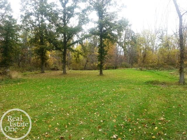 54095 Baker Road New Baltimore, MI 48047 - Photo 55 of 57