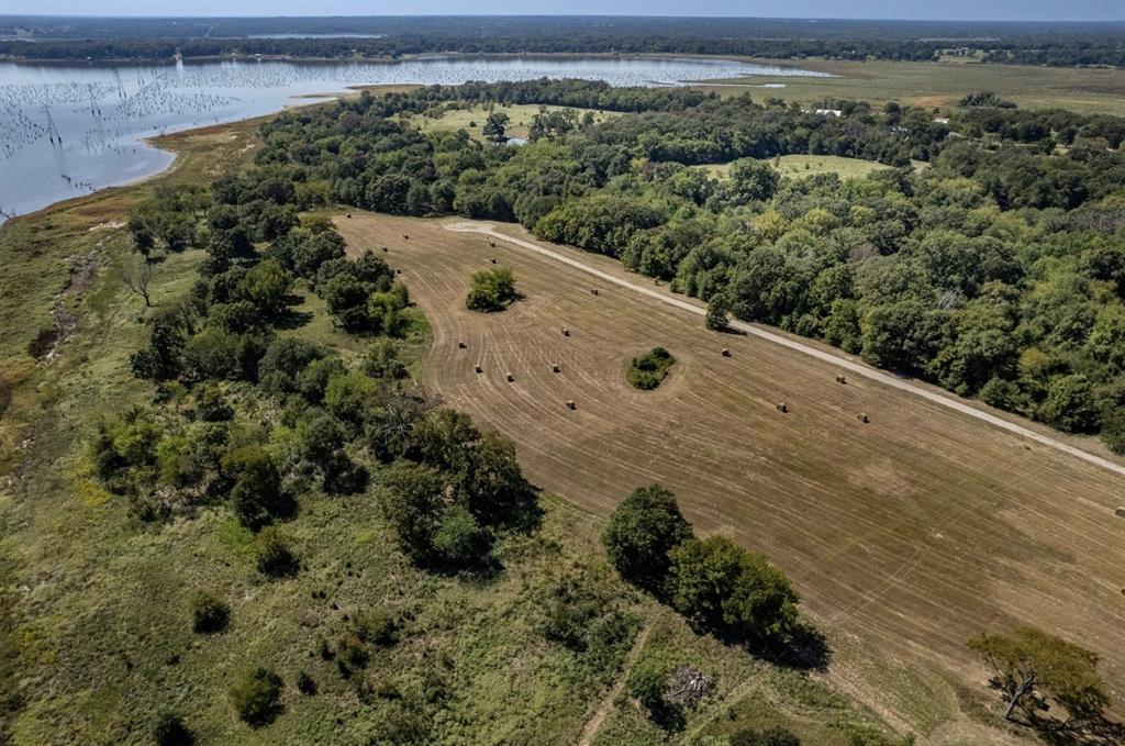 315 Private Road 7327 Emory, TX 75440 - Photo 8 of 39 a view of a yard with a plant