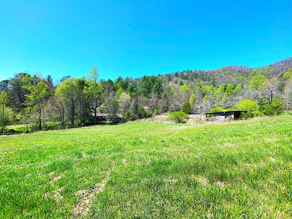 208 Odell Loop Murphy, NC 28906 - Photo 2 of 45