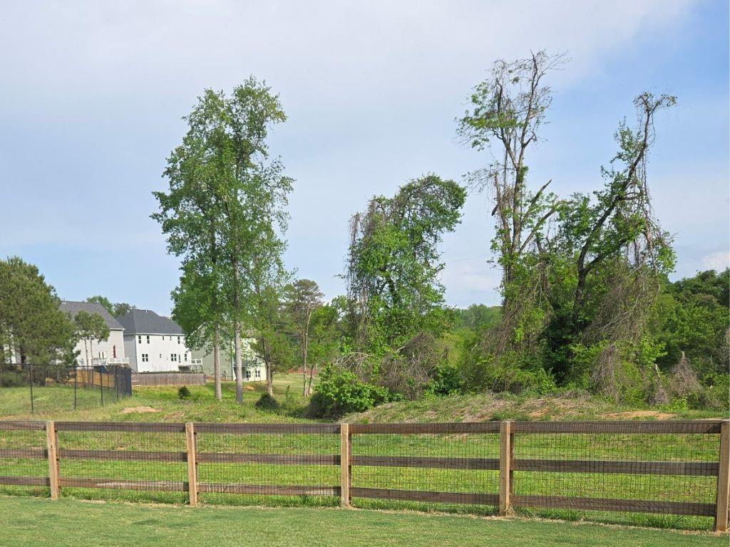 4145 Radford Oaks Lane Cumming, GA 30028 - Photo 4 of 7