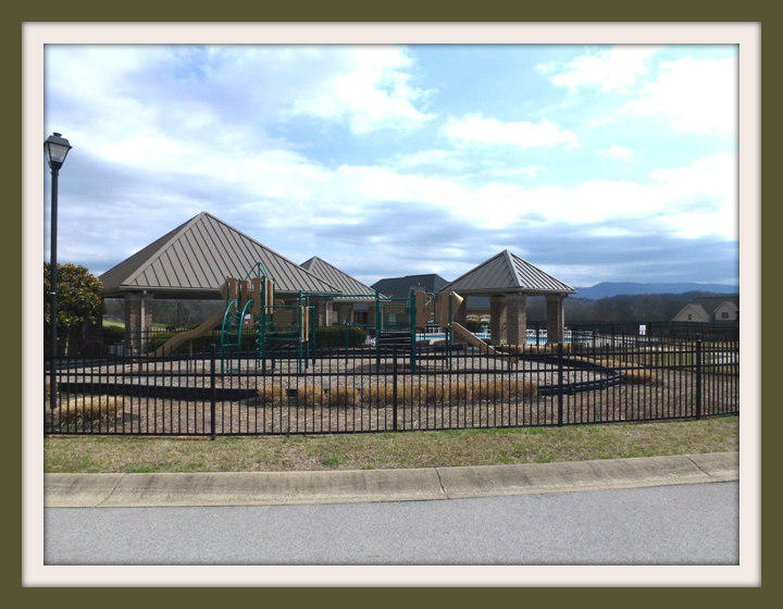 Lot 43 Rippling Waters Circle Sevierville, TN 37876 - Photo 15 of 15 018F