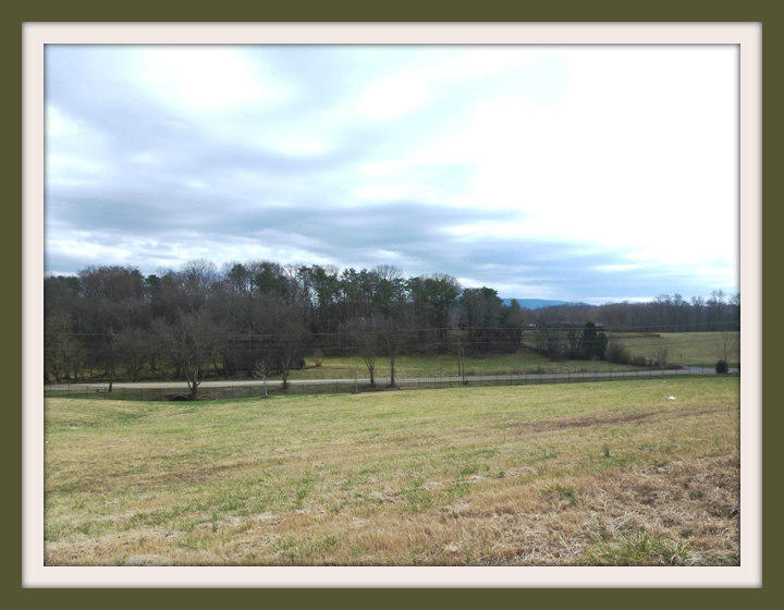 Lot 43 Rippling Waters Circle Sevierville, TN 37876 - Photo 3 of 15 003F