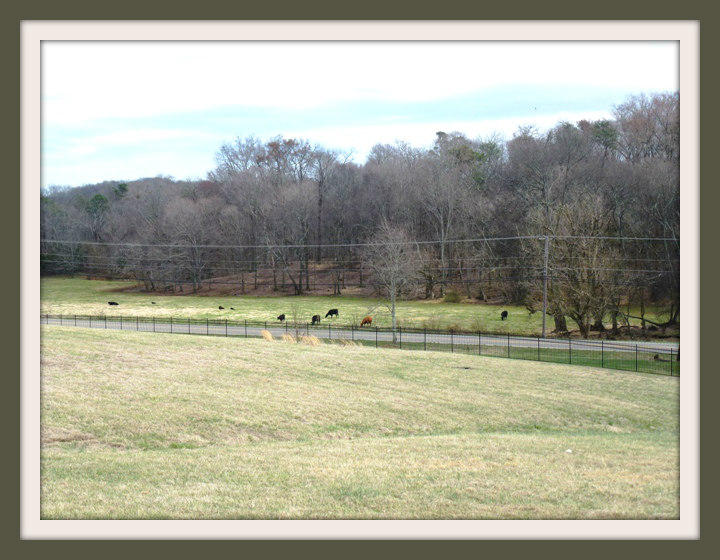 Lot 43 Rippling Waters Circle Sevierville, TN 37876 - Photo 4 of 15 004F