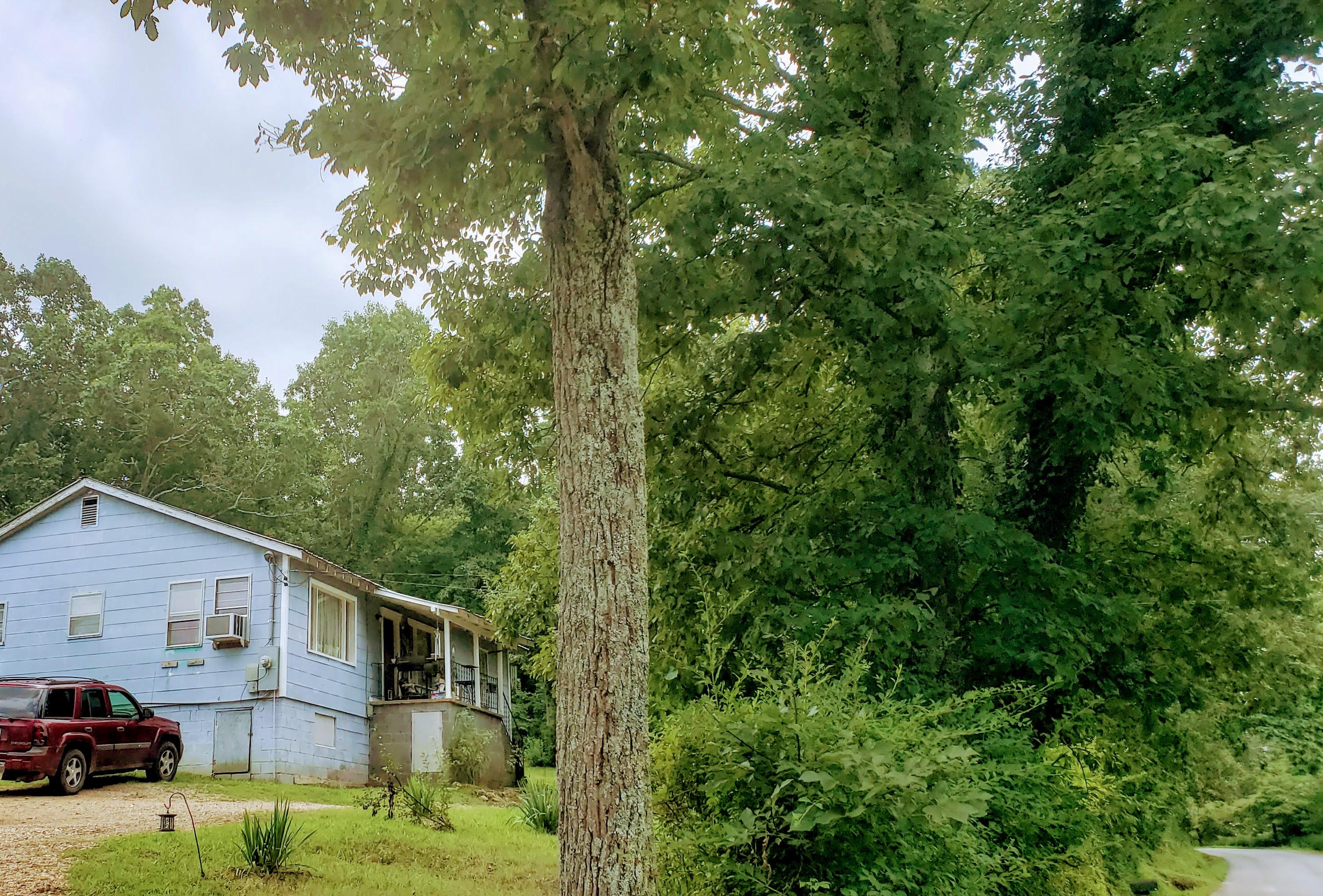 291 Ridgeland Road Rossville, GA 30741 - Photo 30 of 34 20180716_121312