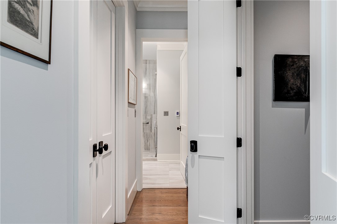 3024 Rugby Road Richmond, VA 23221 - Photo 27 of 50 Gallery Image 27