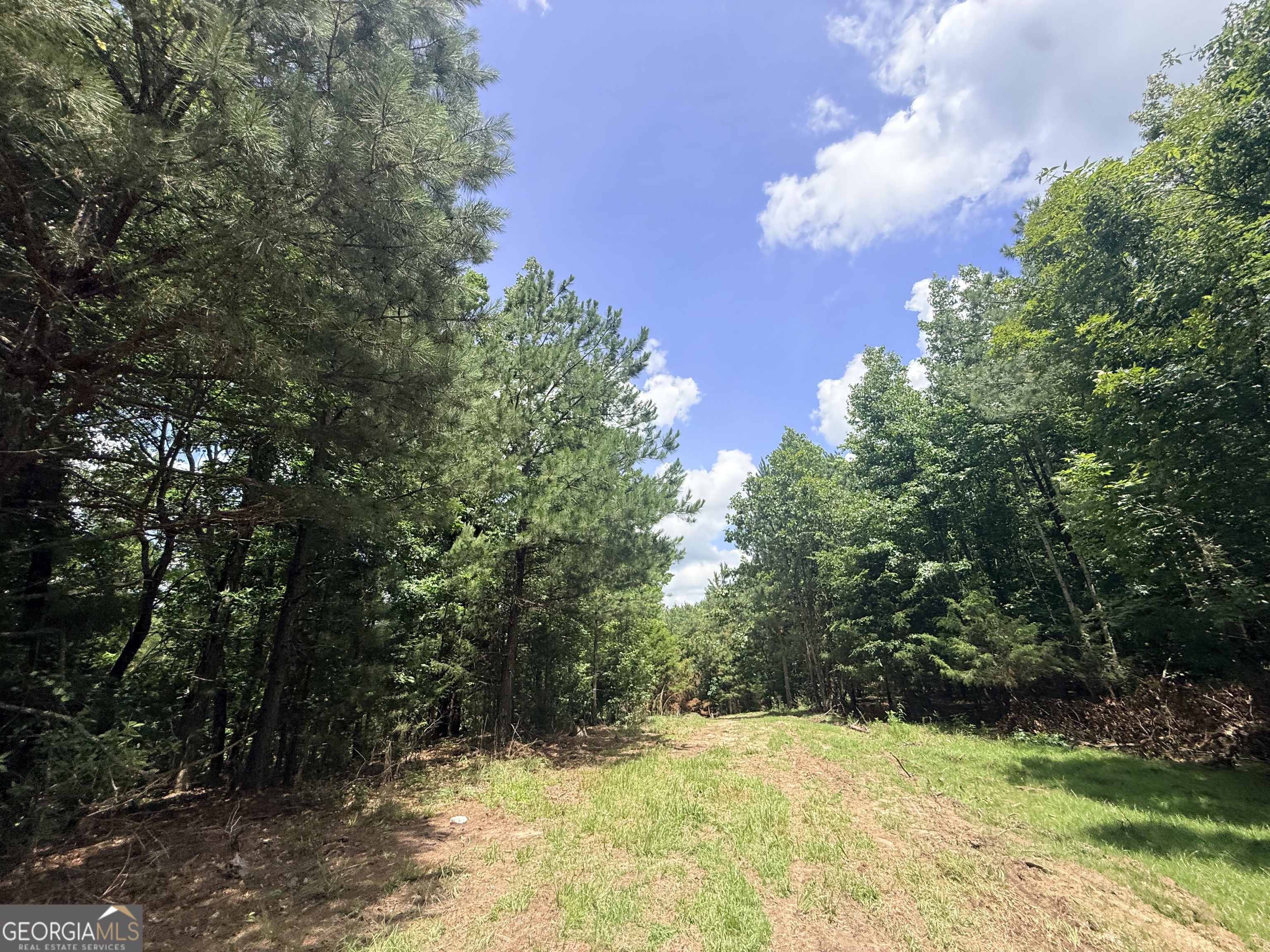 2787 Cedar Creek Road Elberton, GA 30635 - Photo 1 of 88