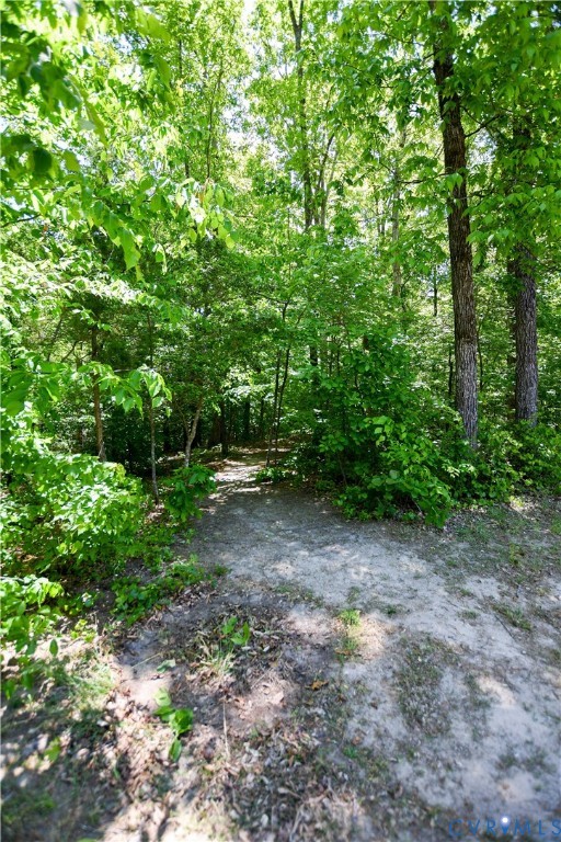 5034 Dabneys Mill Road Manquin, VA 23106 - Photo 22 of 25 Gallery Image 22