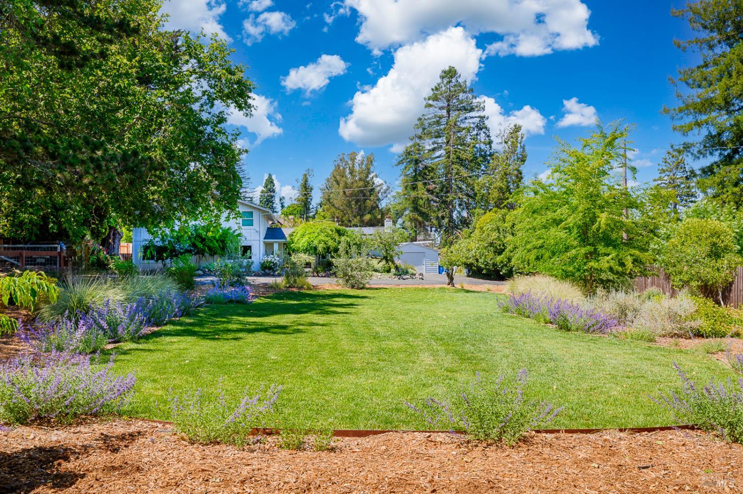 7170 Lynch Road Sebastopol, CA 95472 - Photo 1 of 1 a view of a garden
