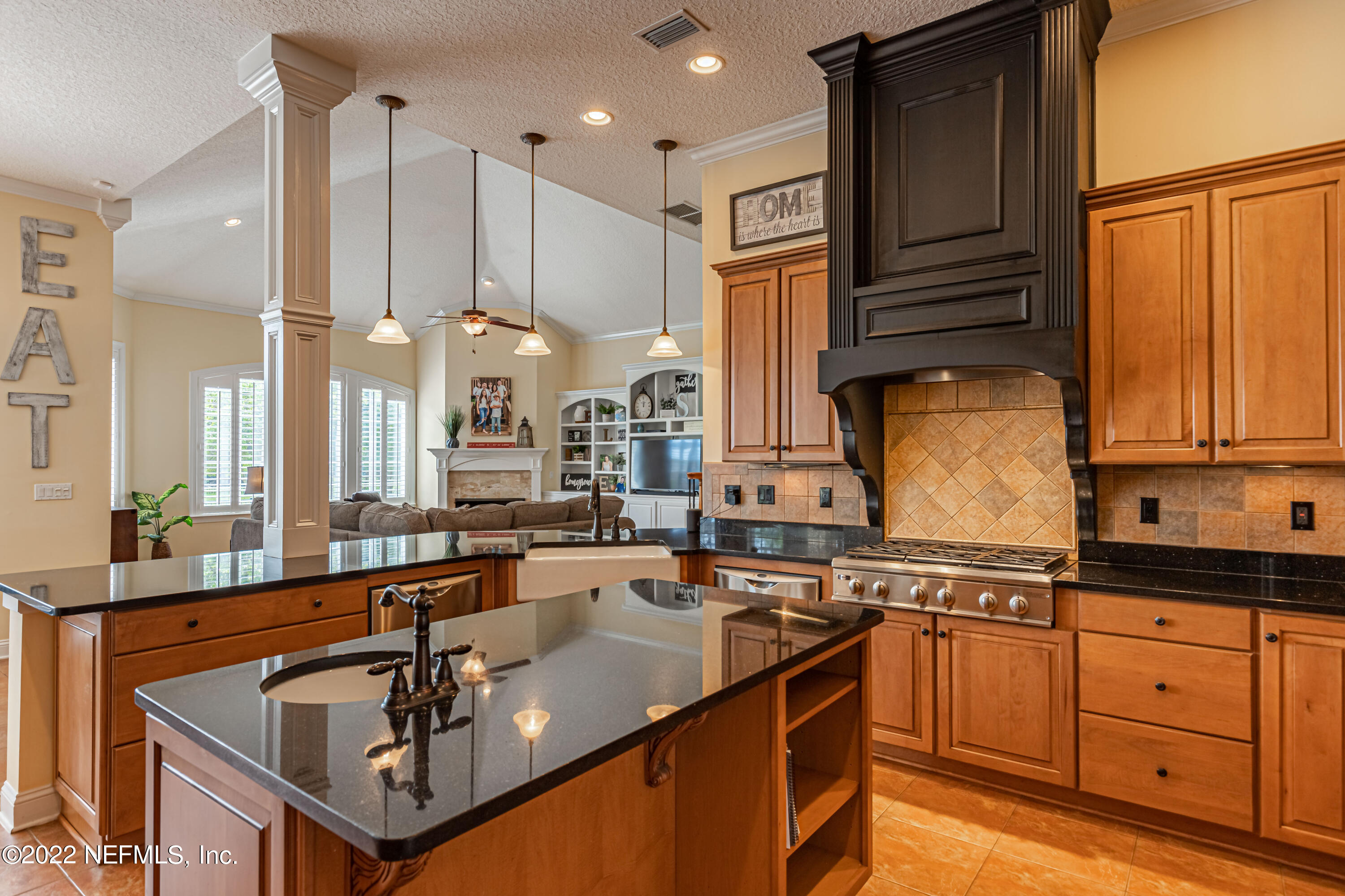 2723 Shade Tree Drive Fleming Island, FL 32003 - Photo 11 of 93 Kitchen-2