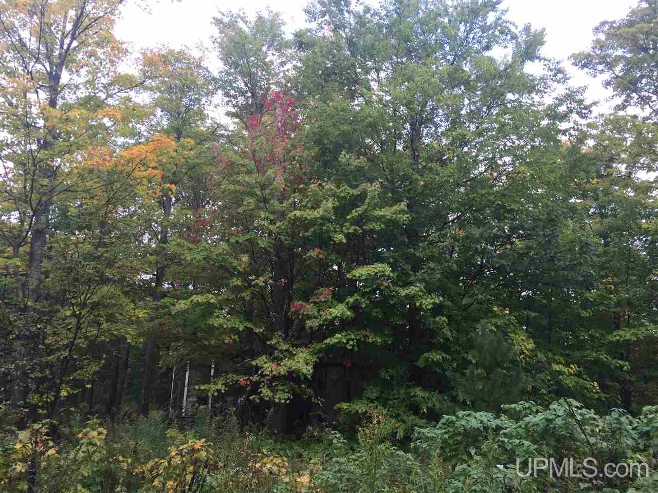 33 Makinen Road Jl Road Negaunee, MI 49866 - Photo 6 of 11