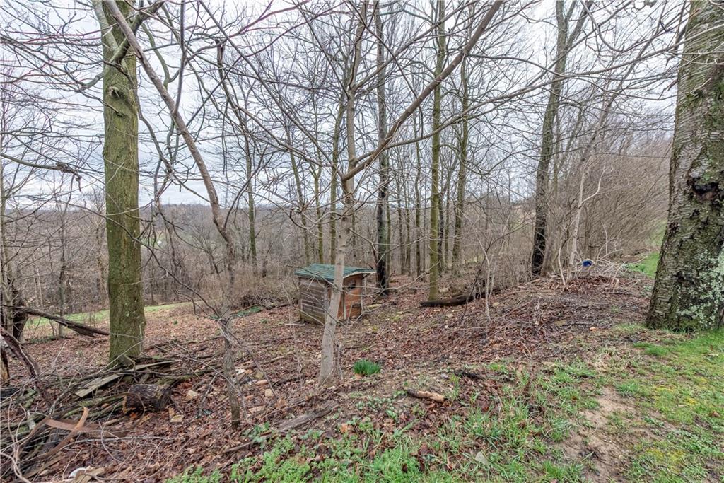 320 Deerfield Road Washington, PA 15301 - Photo 31 of 32 a backyard of a house with lots of green space