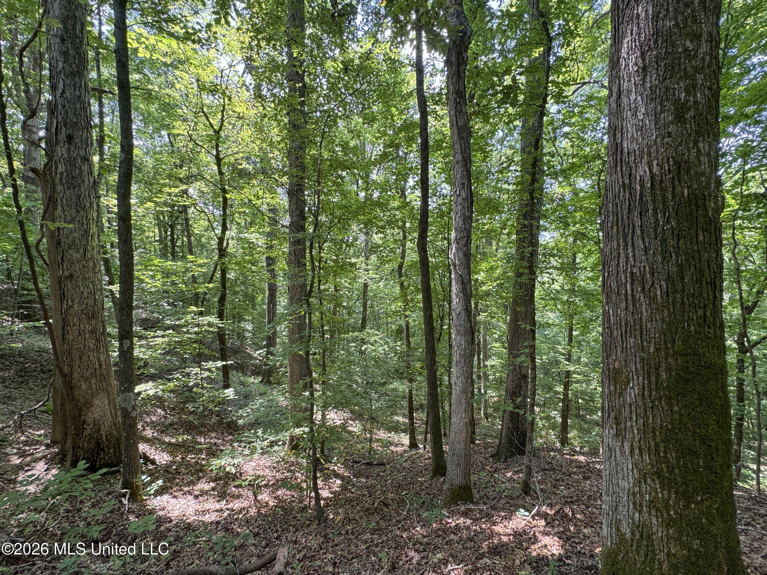 884 Avant Road Crenshaw, MS 38621 - Photo 135 of 154 6dbyicr84