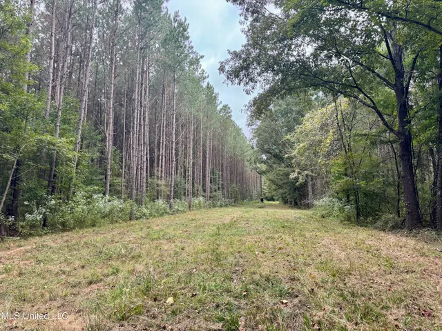 $408,000 | Yandell Road, Canton, MS 39046