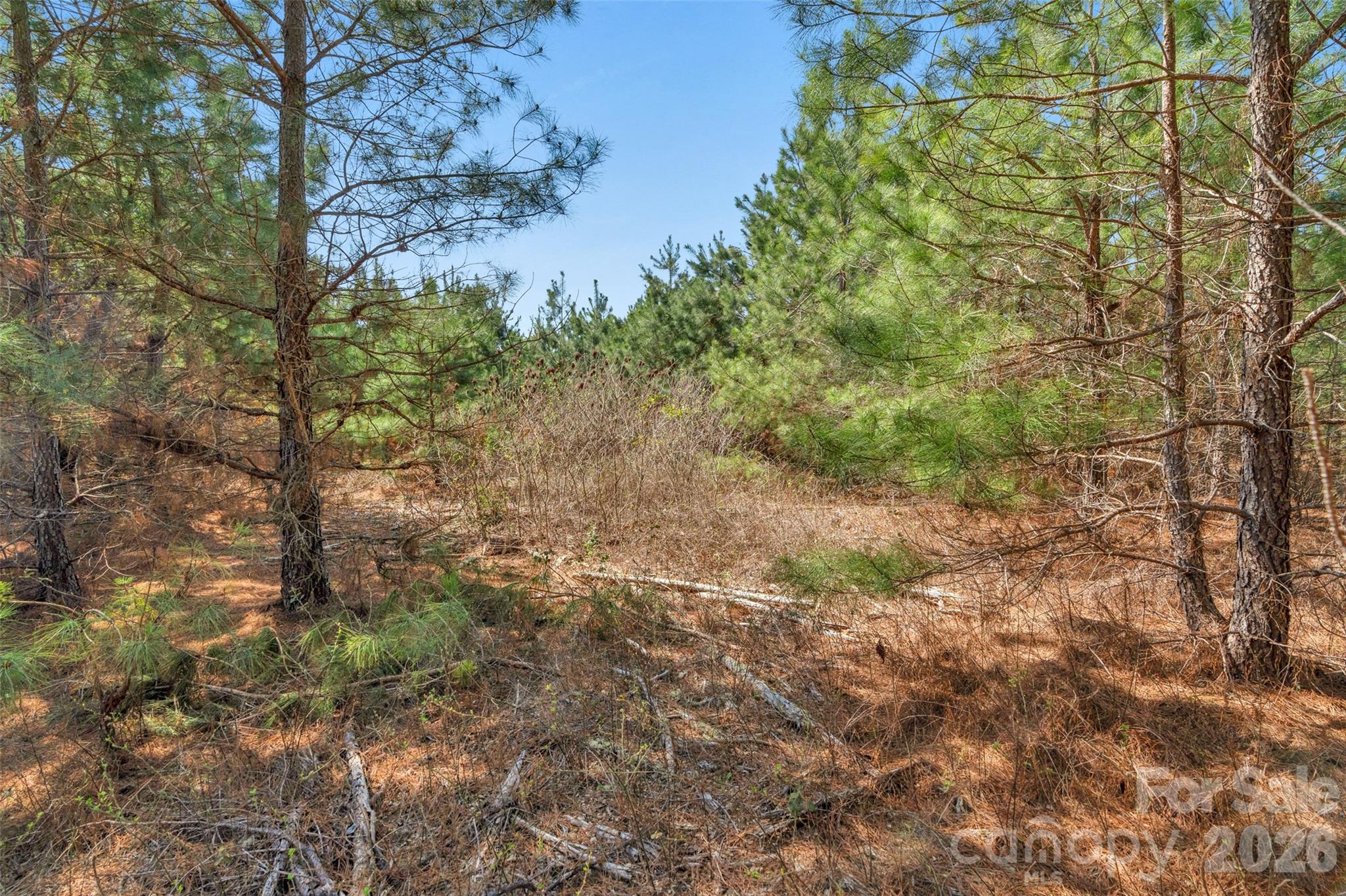 931 Charlie Johnson Road, Unit 7 Kershaw, SC 29067 - Photo 22 of 34