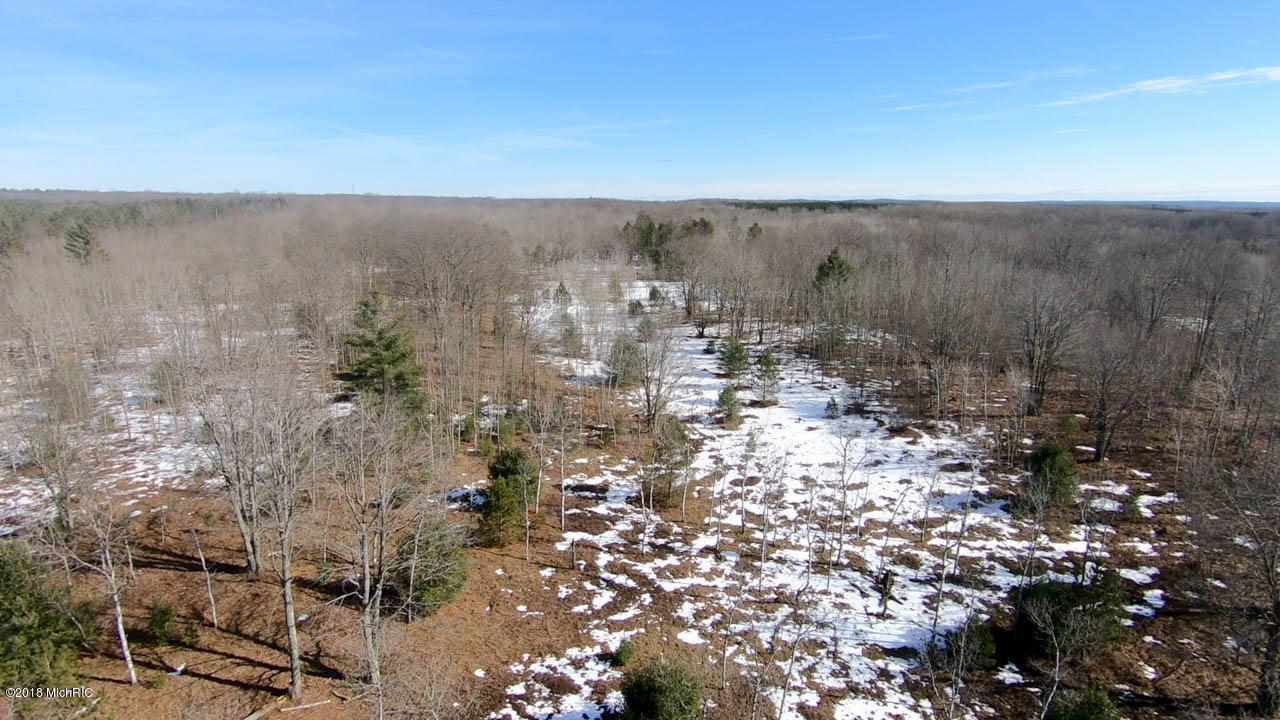 37 1/2 37 1/2 Road Manton, MI 49663 - Photo 25 of 27