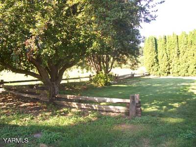 50 Forney Road Cowiche, WA 98947 - Photo 13 of 21 a view of yard with tree