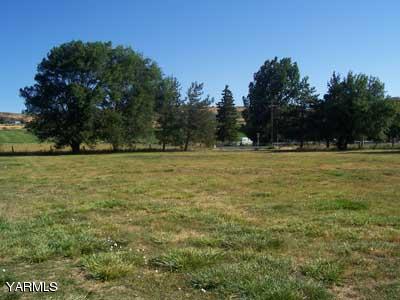 50 Forney Road Cowiche, WA 98947 - Photo 18 of 21 a view of a green field with trees in the background